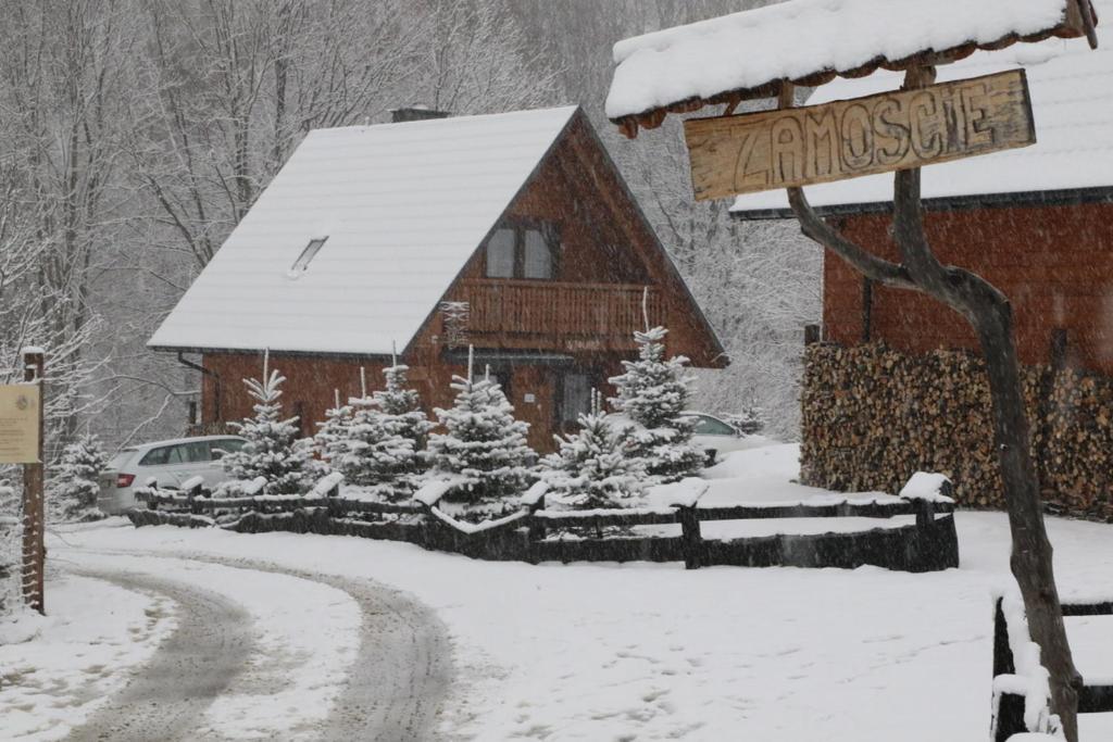une cabane en rondins dans la neige avec un panneau indiquant la rue dans l'établissement NATURA PARK BIESZCZADY - DOMKI CAŁOROCZNE, à Baligród