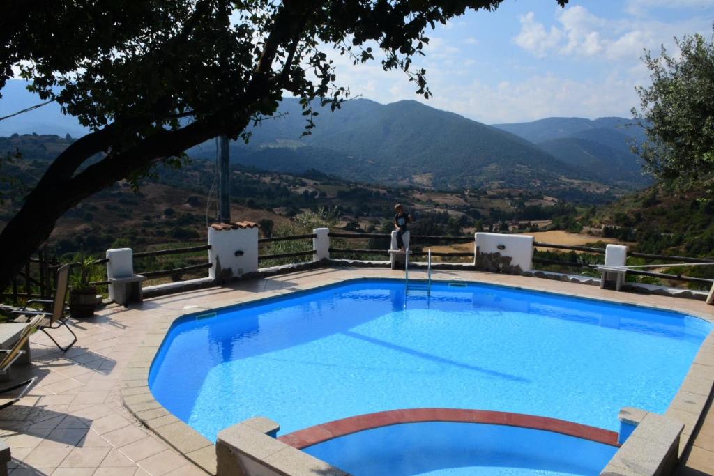 uma piscina com vista para as montanhas em Affittcamere Jannas em Orgosolo