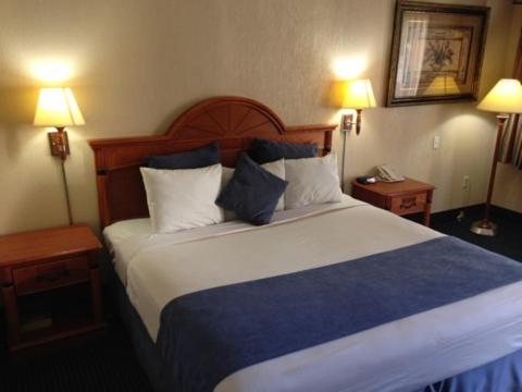 Postel nebo postele na pokoji v ubytování Downtowner Inn and Suites - Houston