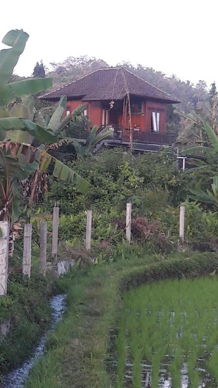 Astana Swaha Estate - Bungalow De Lujo Con Vista De Jardín