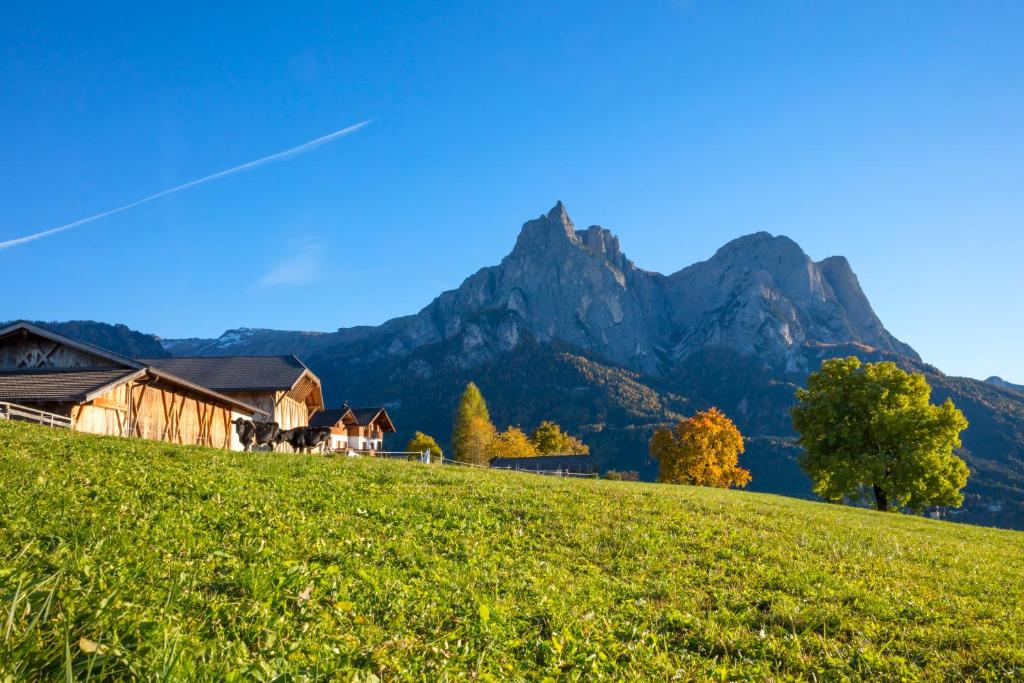 a house on a hill with mountains in the background at Treffhof in Siusi