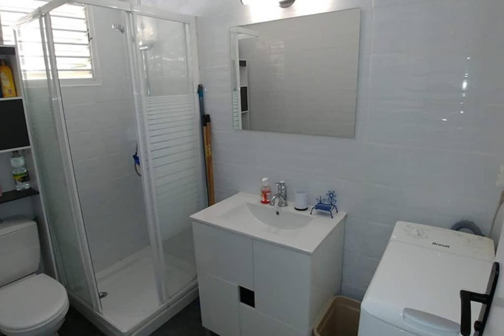 Koupelna v ubytování AnseMitan beach studio,Clim,wifi, 200mplage 3îlets