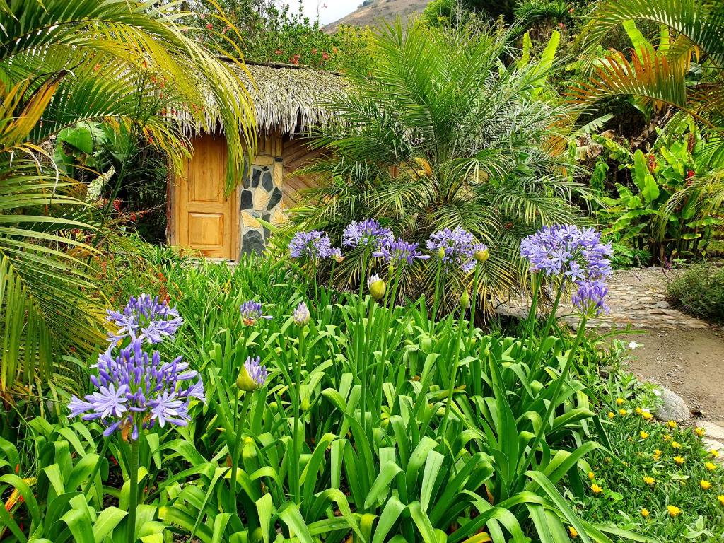 Huigra的住宿－Cabañas Samay Mágico Ecolodge，一座花园,在房子前面种有紫色的花朵