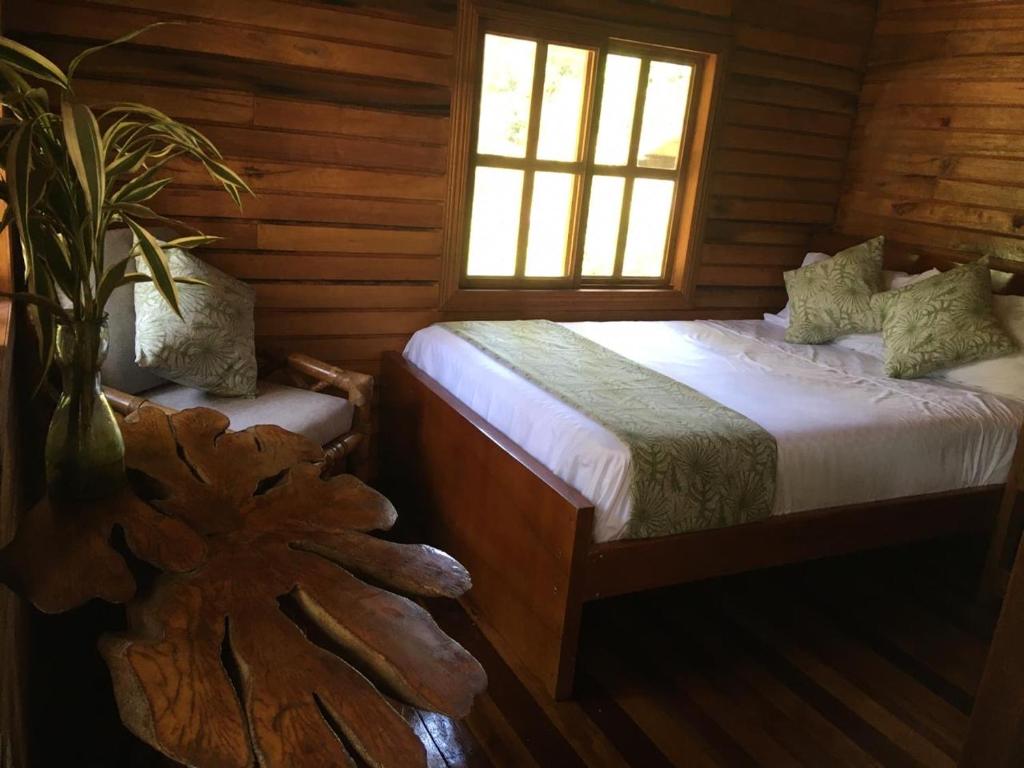 Afbeelding uit fotogalerij van Guest House Great Hostels Amazon in Puyo