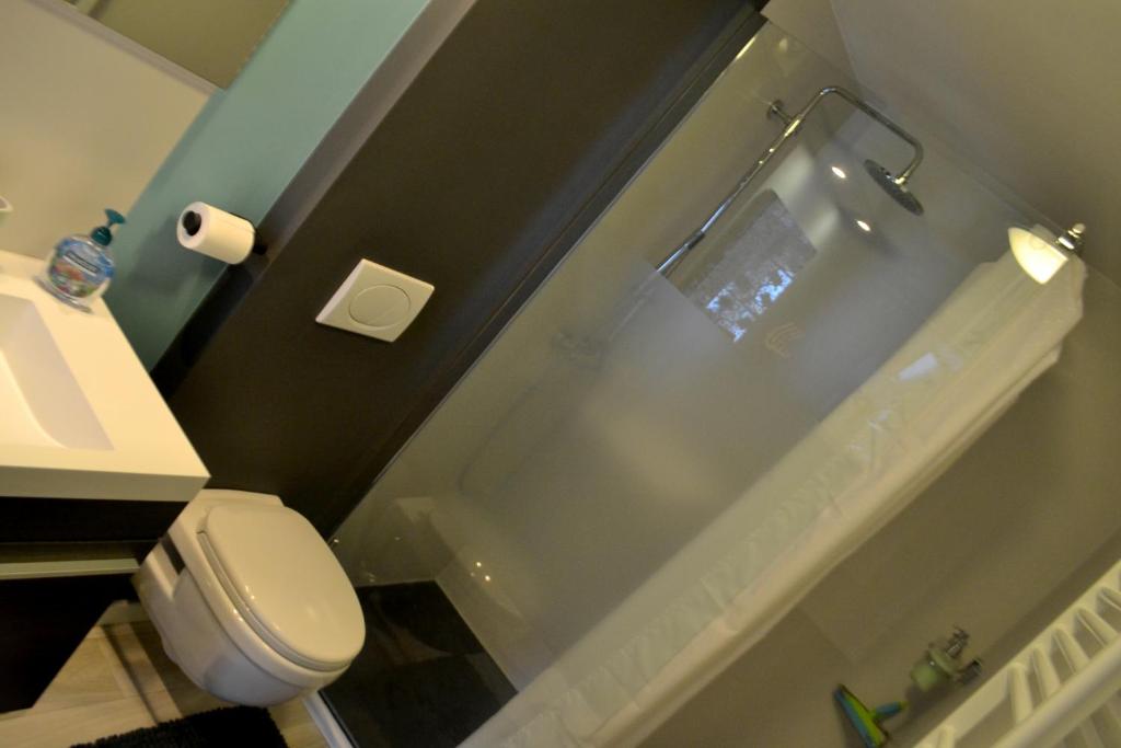 Koupelna v ubytování "En Aqualye" chambre privative chez l'habitant