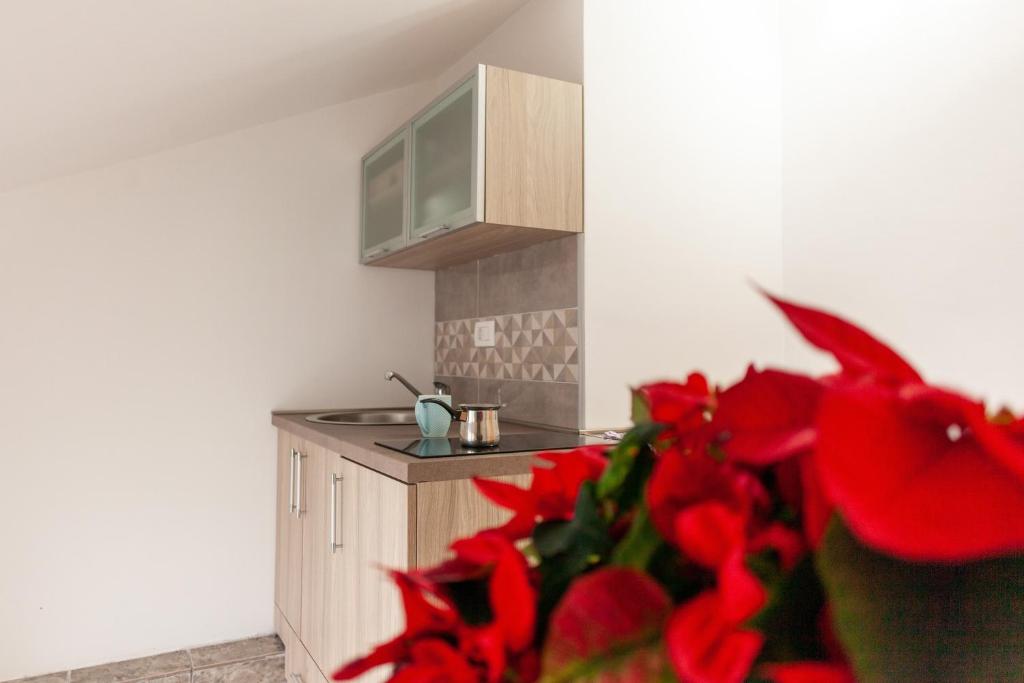Kuchyň nebo kuchyňský kout v ubytování Apartmani Stanišić-Bečići