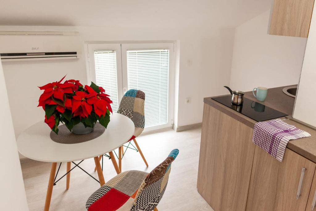 Kuchyň nebo kuchyňský kout v ubytování Apartmani Stanišić-Bečići