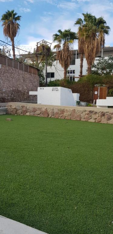ein Grüngrasfeld mit Palmen im Hintergrund in der Unterkunft אדום 179, דירות נופש in Eilat