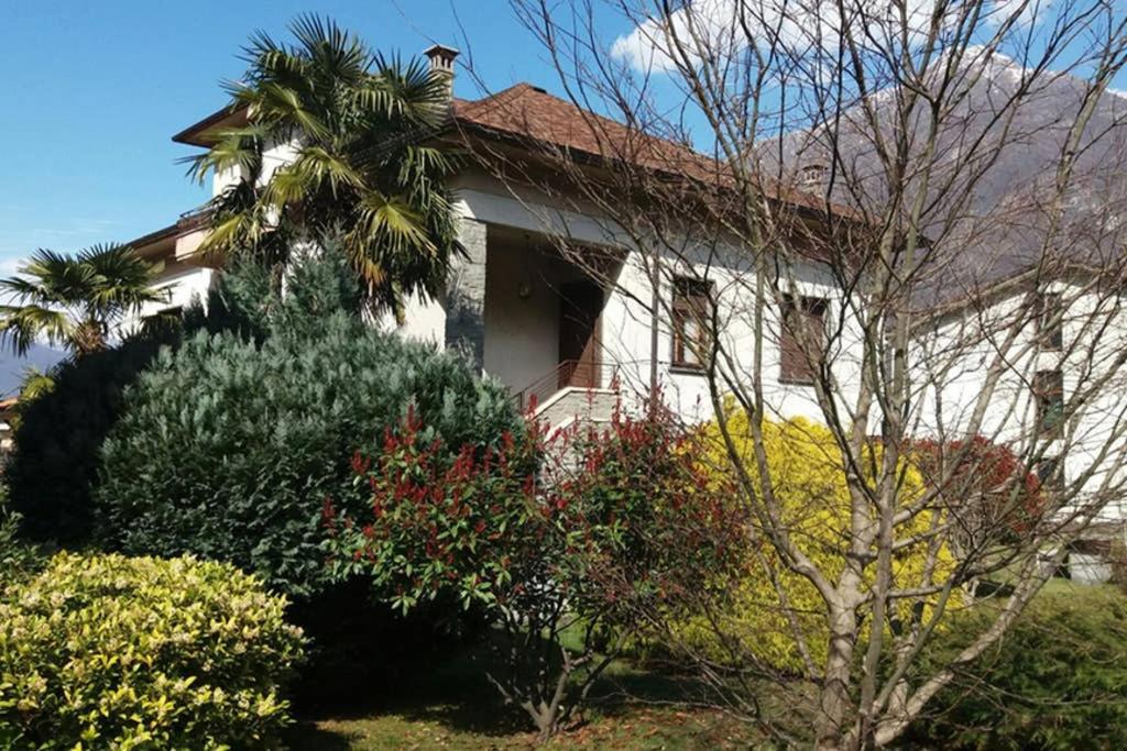 a white house with a palm tree and bushes at CA' DEI PAOLI in Pieve Vergonte