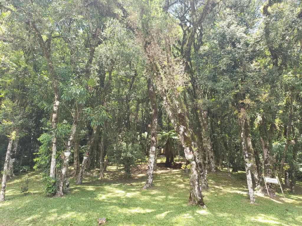 Hotel Pousada das Flores  Hotel Pousada das Flores