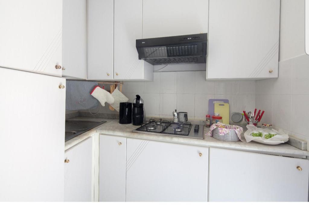 Kuchyňa alebo kuchynka v ubytovaní ControVento Apartament II