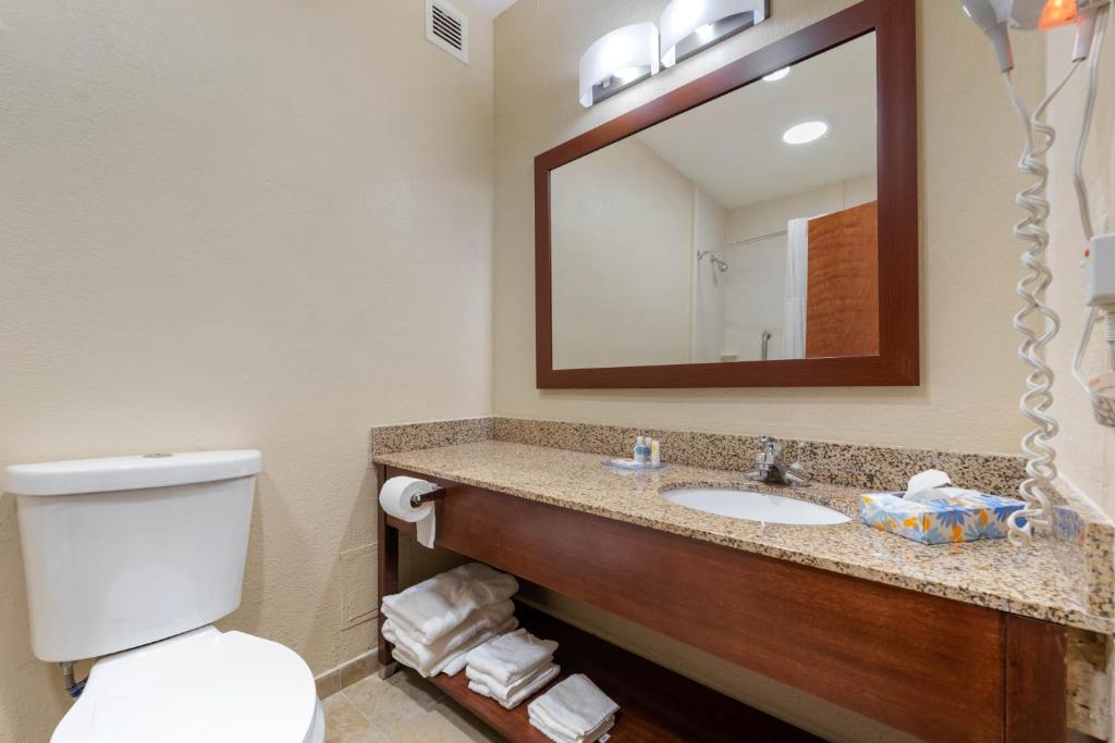 Comfort Inn & Suites Michigan City South - Kamer Met Kingsize Bed - Niet-Rokers