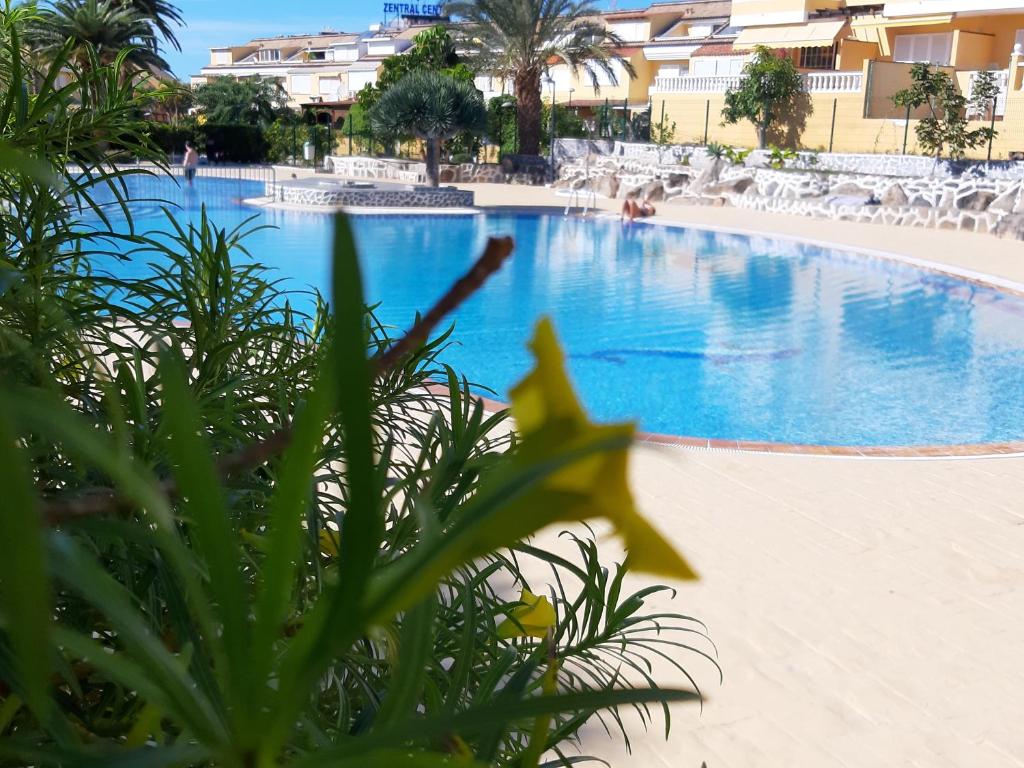 PLAYA DE LAS AMERICAS EL CAMISON, Arona – Bijgewerkte prijzen ...