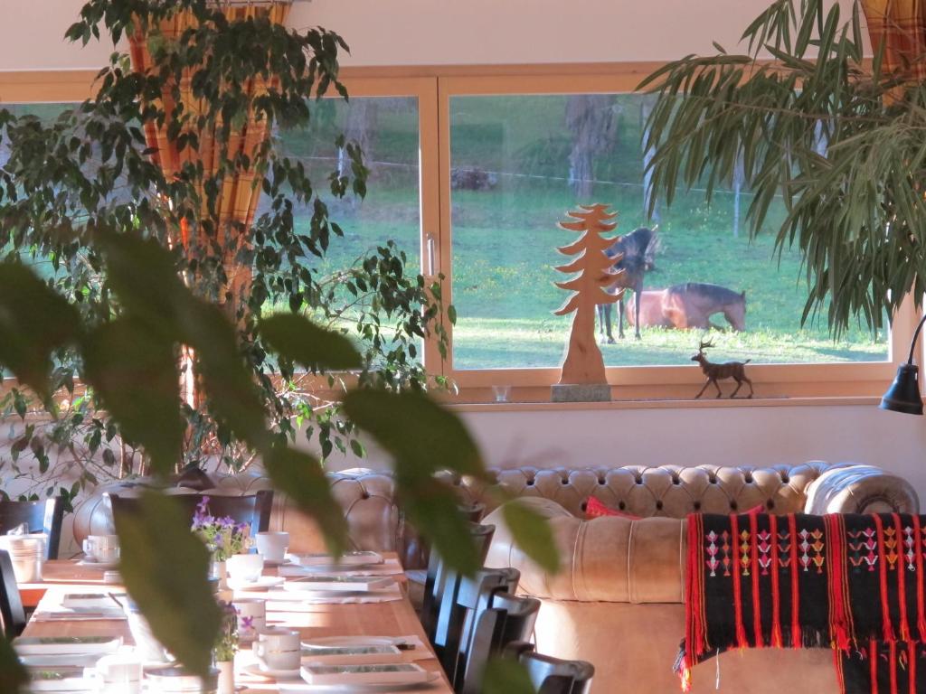 Fotografie z fotogalerie ubytování Reitstall und Saloon San Jon v destinaci Scuol