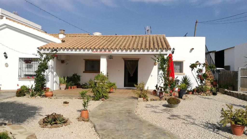 Sumarhús Casa Los Geranios - Solo Adultos (Spánn Conil de la ...