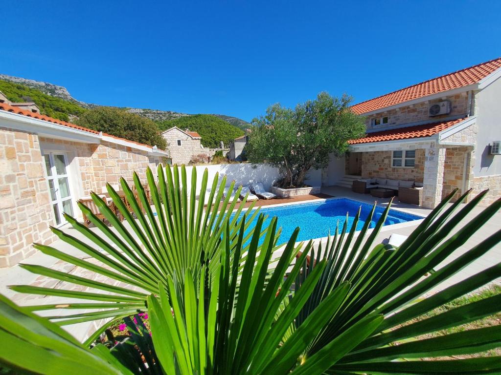 a house with a swimming pool and a palm tree at Apartments Lolita in Bol