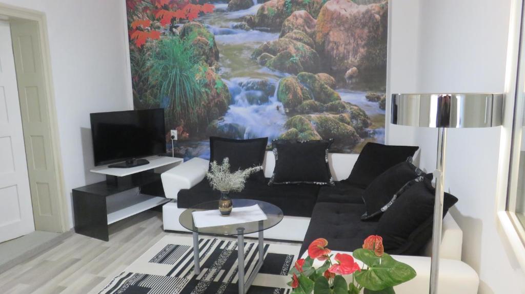 uma sala de estar com um sofá e uma televisão em Guest House Pavlovic em Sokobanja