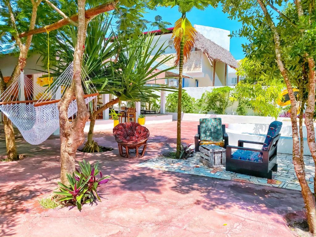 Zahrada ubytování Papaya Guest House Nungwi