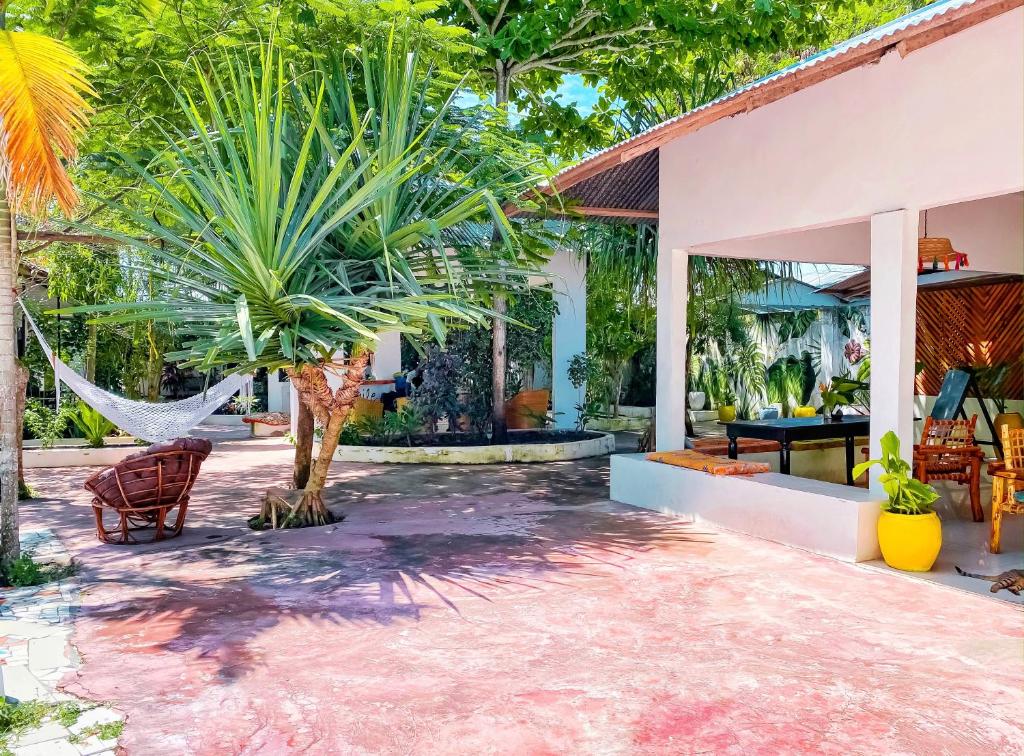 Zahrada ubytování Papaya Guest House Nungwi