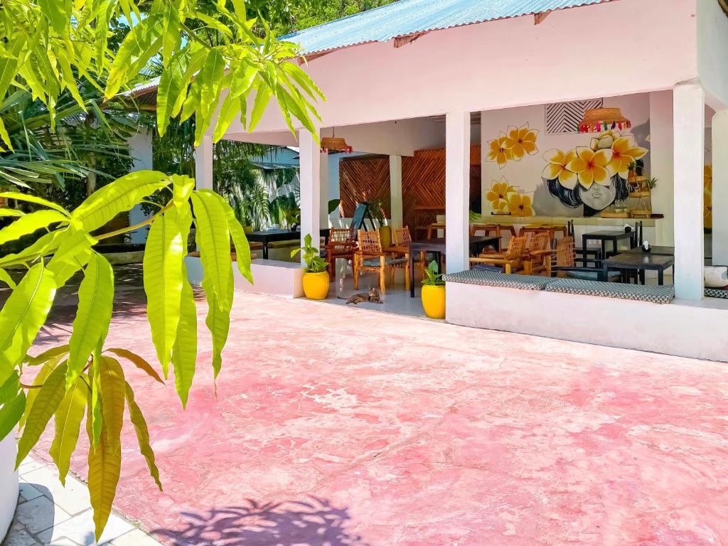 Fotografie z fotogalerie ubytování Papaya Guest House Nungwi v destinaci Nungwi
