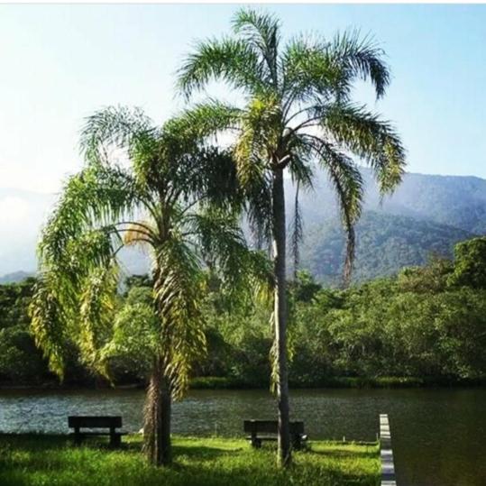  Suites próximo ao rio Jaguareguava em Bertioga