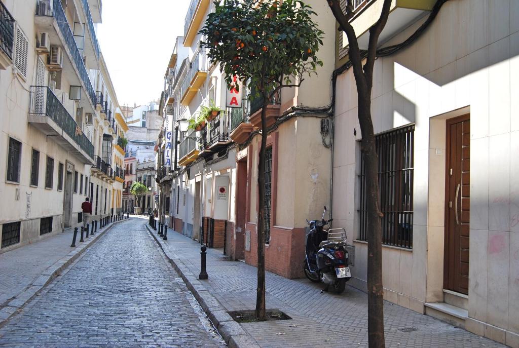 TOURIST HOUSE GRAVINA, Seville – Updated 2022 Prices