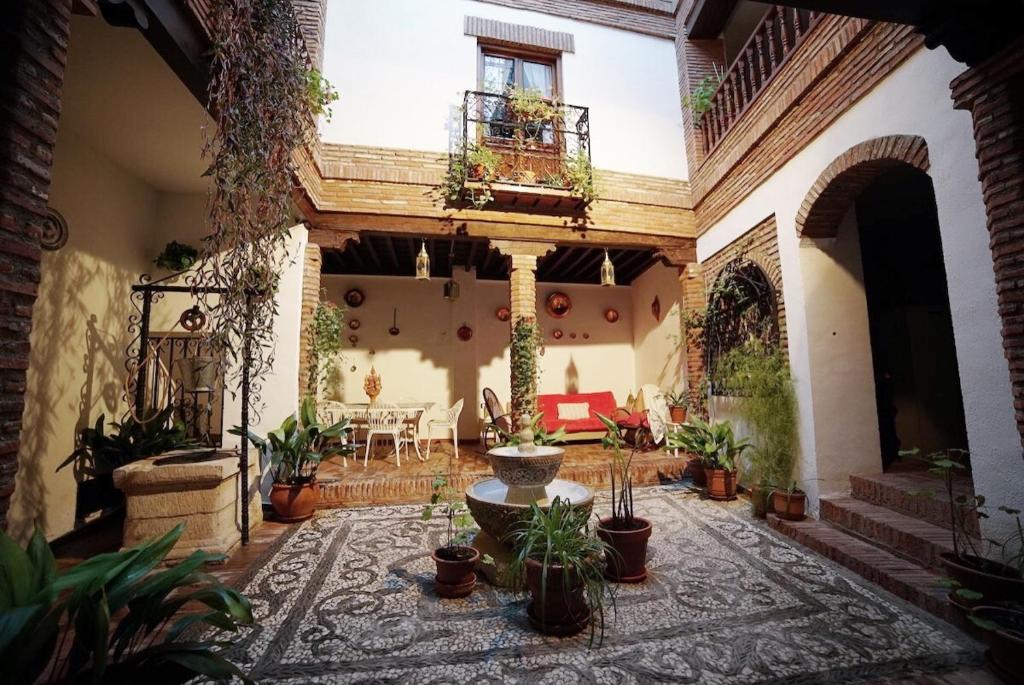 un patio con macetas en un edificio en Palacete Magistral Domínguez habitaciones, en Guadix