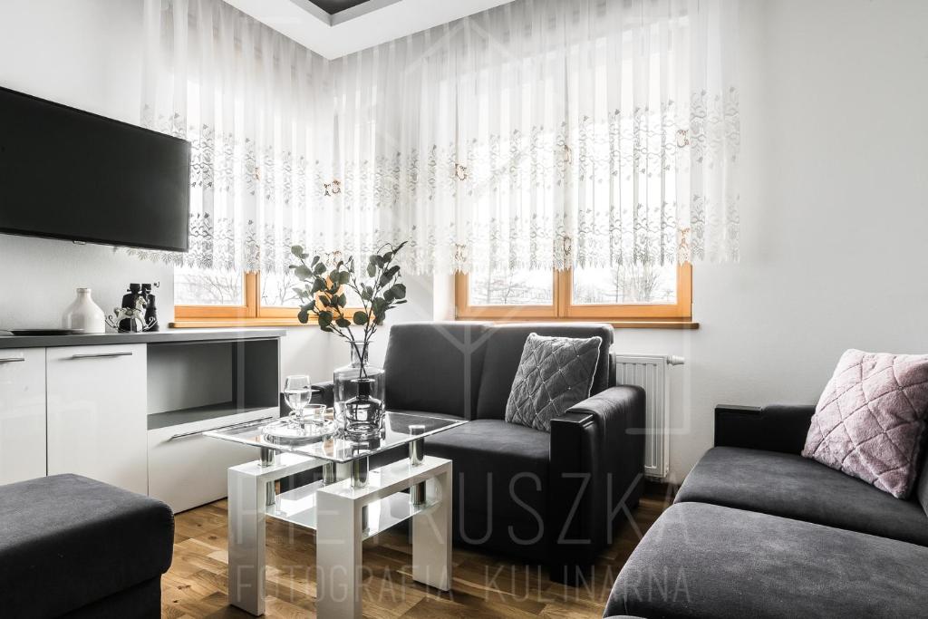 Televízia a/alebo spoločenská miestnosť v ubytovaní Apartamenty pod Orłem - Rezydencja do Skoczni