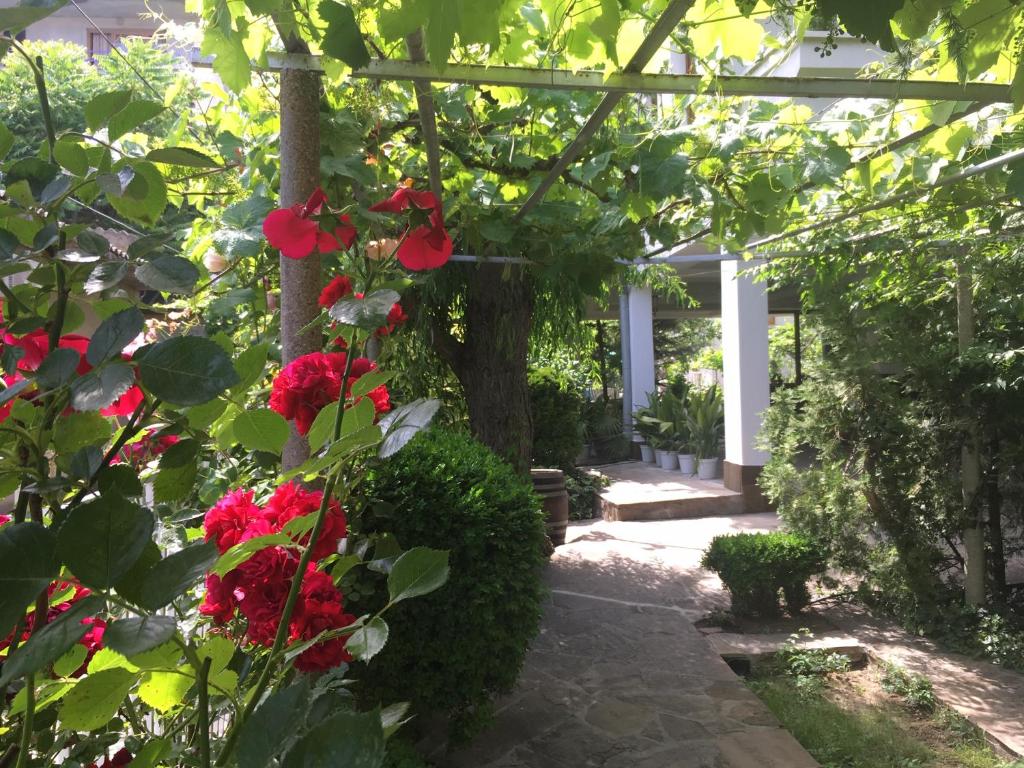 Gallery image of Guest House Barbov in Obzor