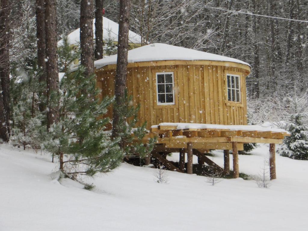 a wooden cabin with a picnic table in the snow at La Maison sous les arbres in Saint Roch de Mekinac