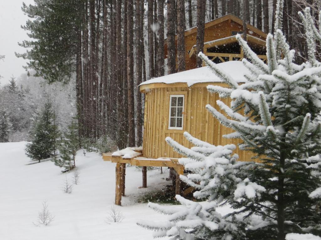 La Maison sous les arbres - Yurta