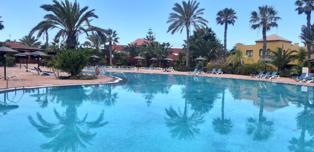 una gran piscina en un complejo con palmeras en Casa Vacanza in Oasis Tamarindo, en Corralejo
