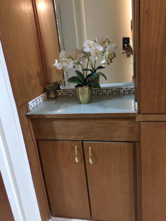  Royal Ibirapuera Park flat