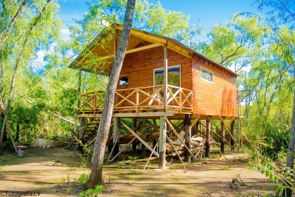 una casa en el árbol en medio del bosque en Cabañas Sidharta en Tigre