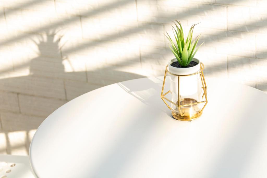 a plant in a glass vase sitting on a table at ioio in Tainan