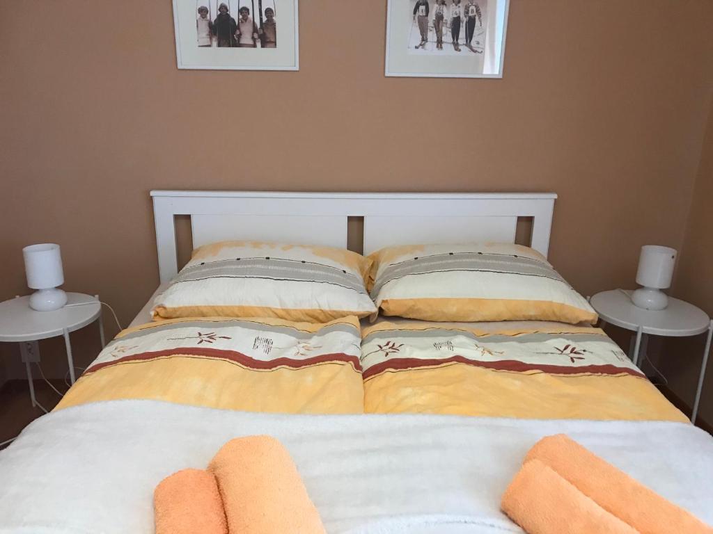 Postel nebo postele na pokoji v ubytování Apartmány Gryf Harrachov