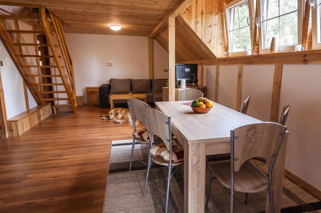 Kuchyňa alebo kuchynka v ubytovaní Agroturystyka Leśna Dolinka