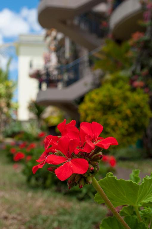 Zahrada ubytování Lharmonie Villa