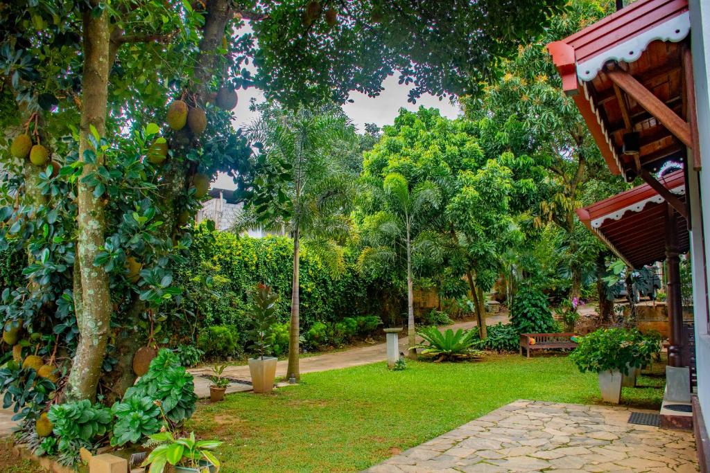 un giardino con panchina, alberi e erba di Homestay Garden Rest Kandy a Kandy