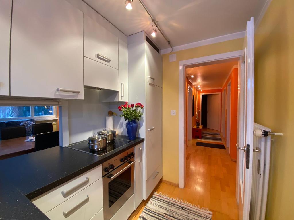 Kuchyň nebo kuchyňský kout v ubytování Ferienwohnung Sotcha 8c