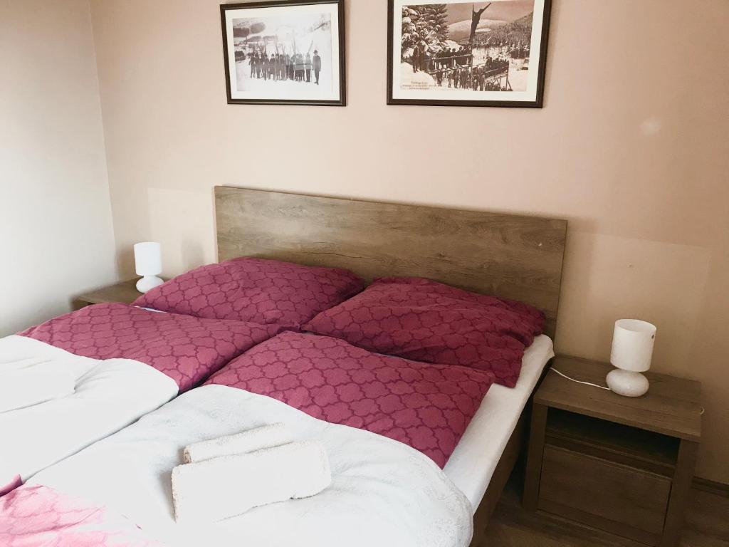 Postel nebo postele na pokoji v ubytování Apartmány Gryf Harrachov