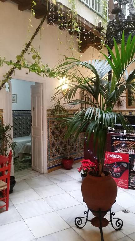 Vonkajšia záhrada v ubytovaní Hostal Lis