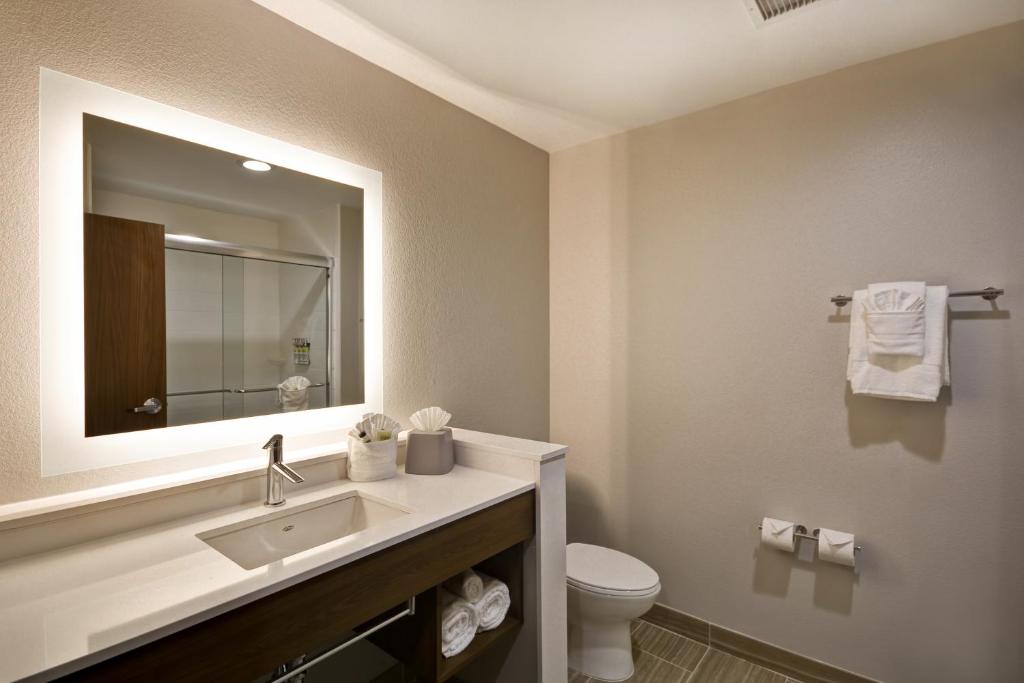 Holiday Inn Express & Suites - Houston NASA - Boardwalk Area, an IHG Hotel - Salle Roi Standard