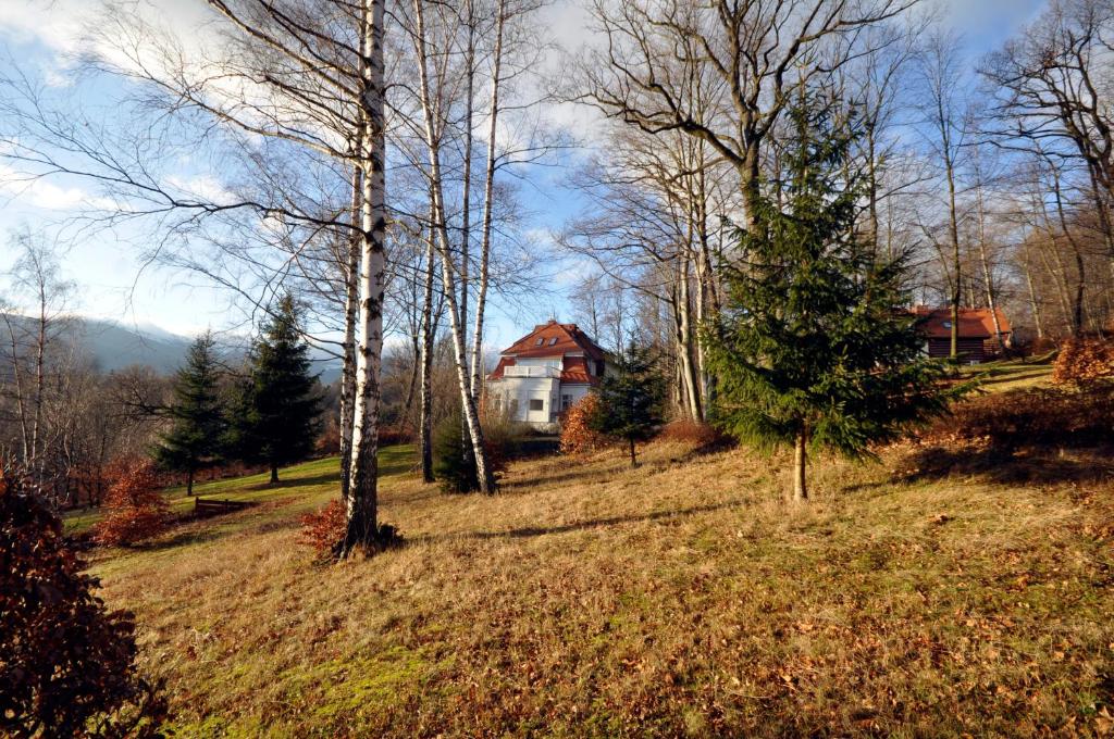 Príroda v okolí apartmánu