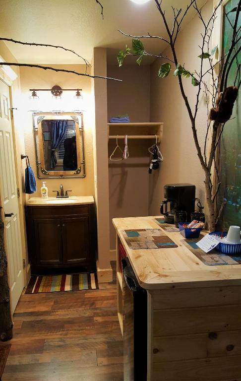 a bathroom with a sink and a counter top at Bear Cove Inn in Saint Ignace