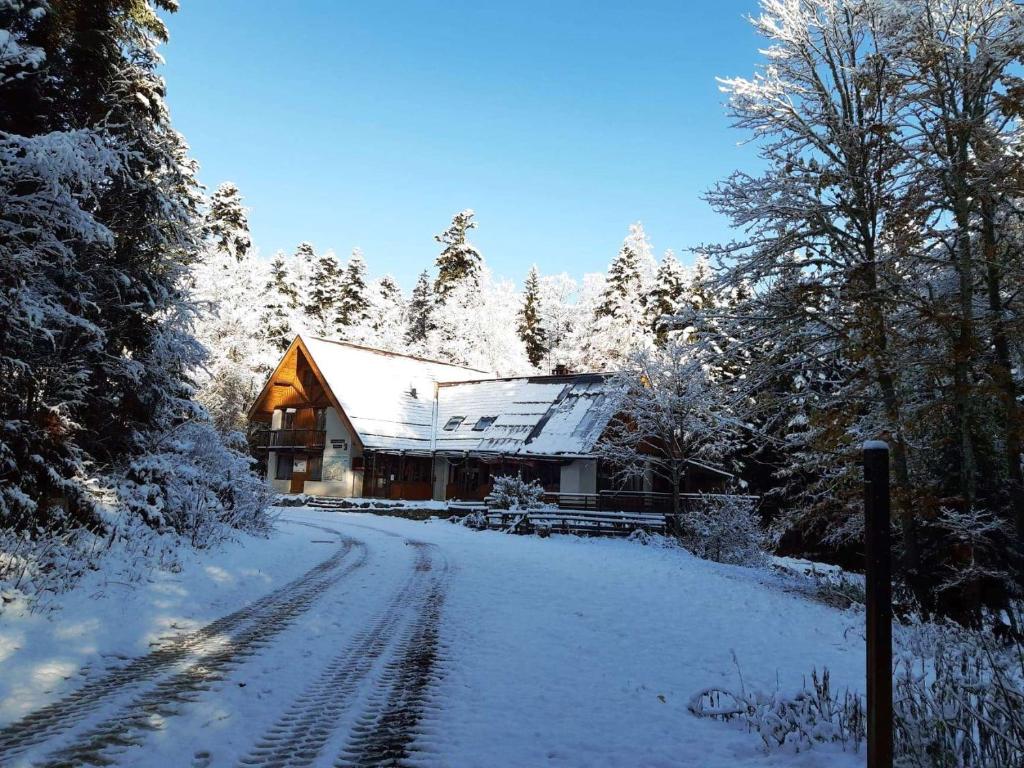 a house covered in snow next to a road at Auberge Refuge de Roybon in Saint-Martin-en-Vercors