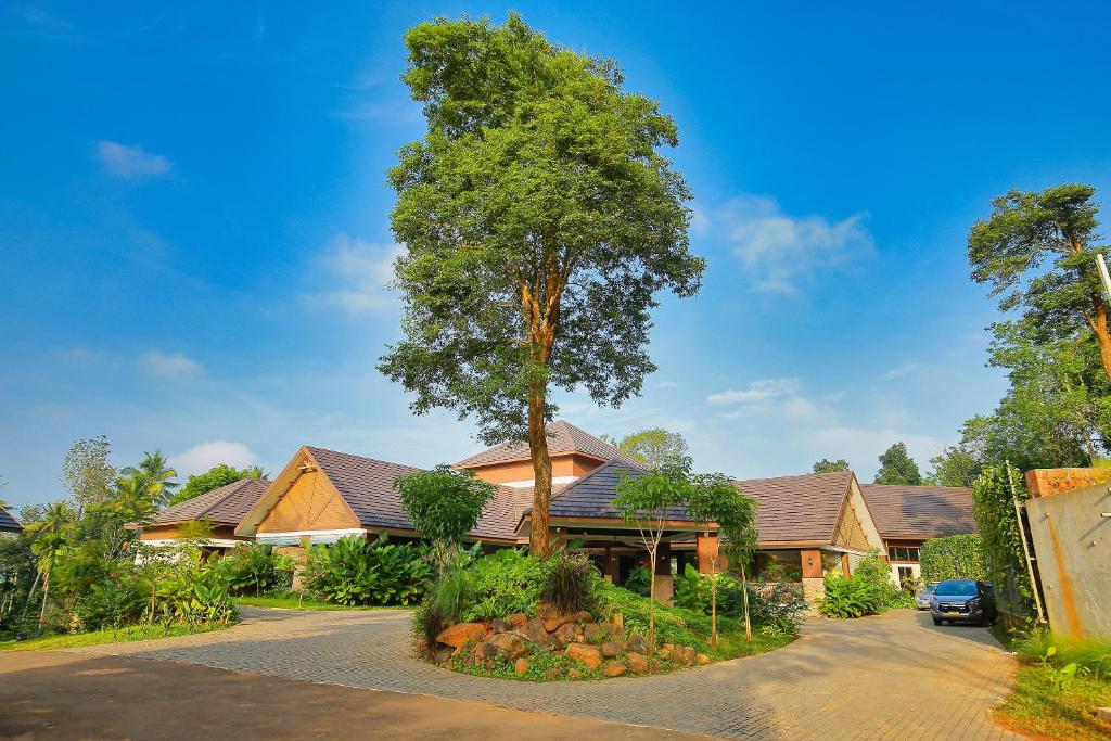 Zahrada ubytování Morickap Resort