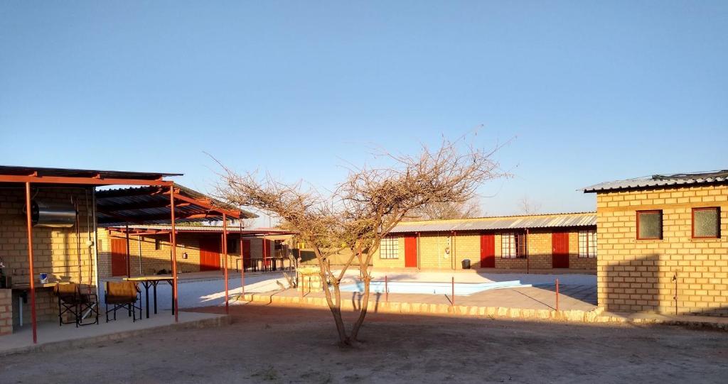 a small tree in front of a building at Stop 'n Stay Otavi Rest Camp in Otavi