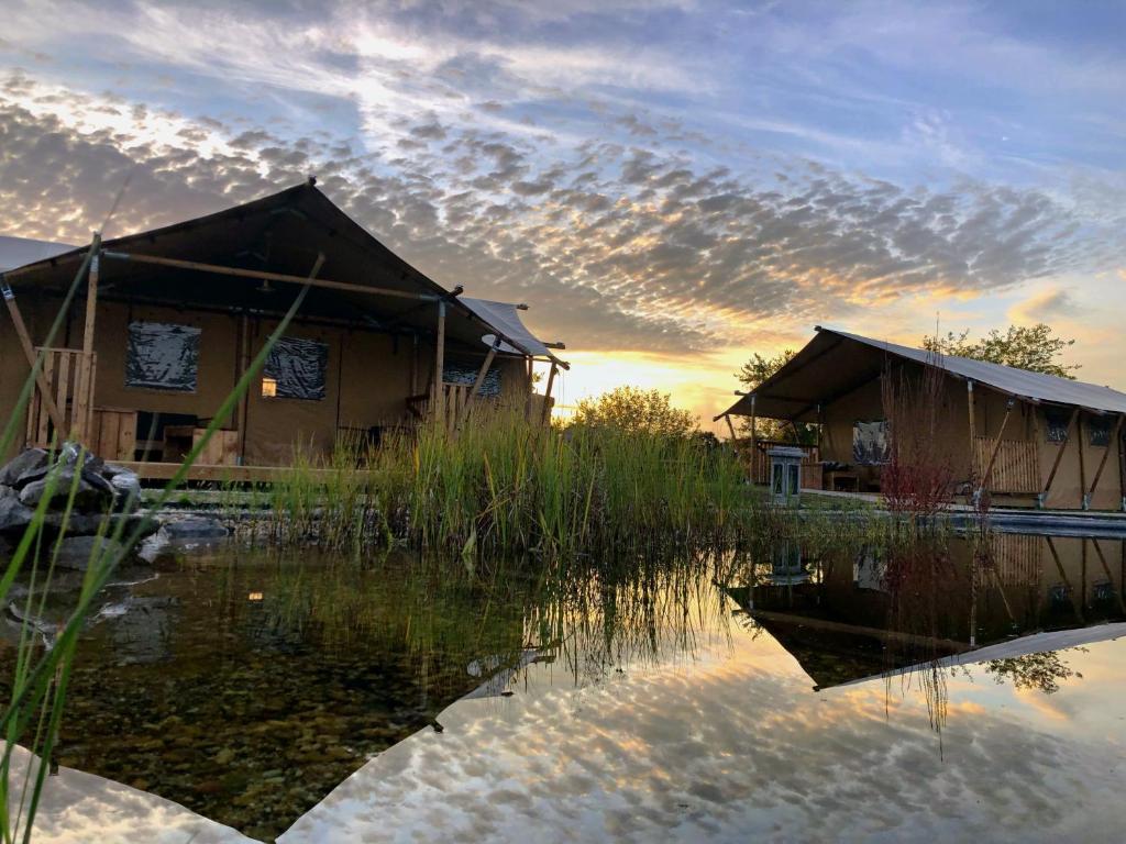Príroda v okolí luxusného stanu