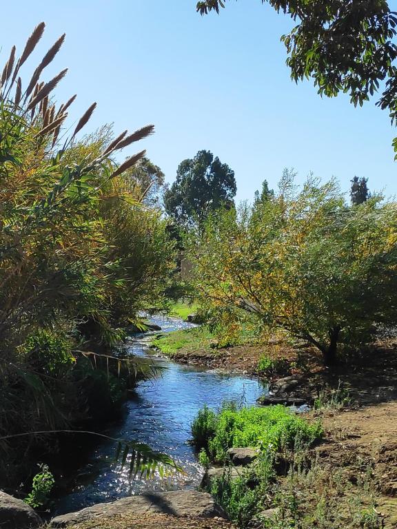Villa by the river facing the Hermon in Dafna - Housity
